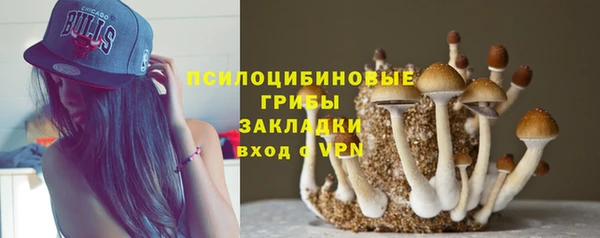 Альфа ПВП Балахна
